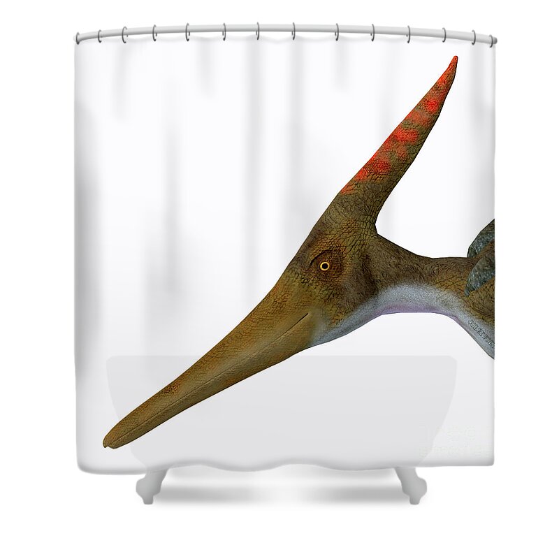 Pteranodon Shower Curtain featuring the digital art Pteranodon Reptile Head by Corey Ford