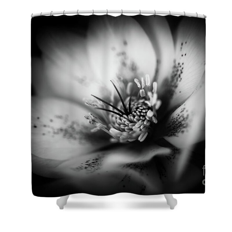 Botanical Shower Curtain featuring the photograph Pure Beauty by Venetta Archer