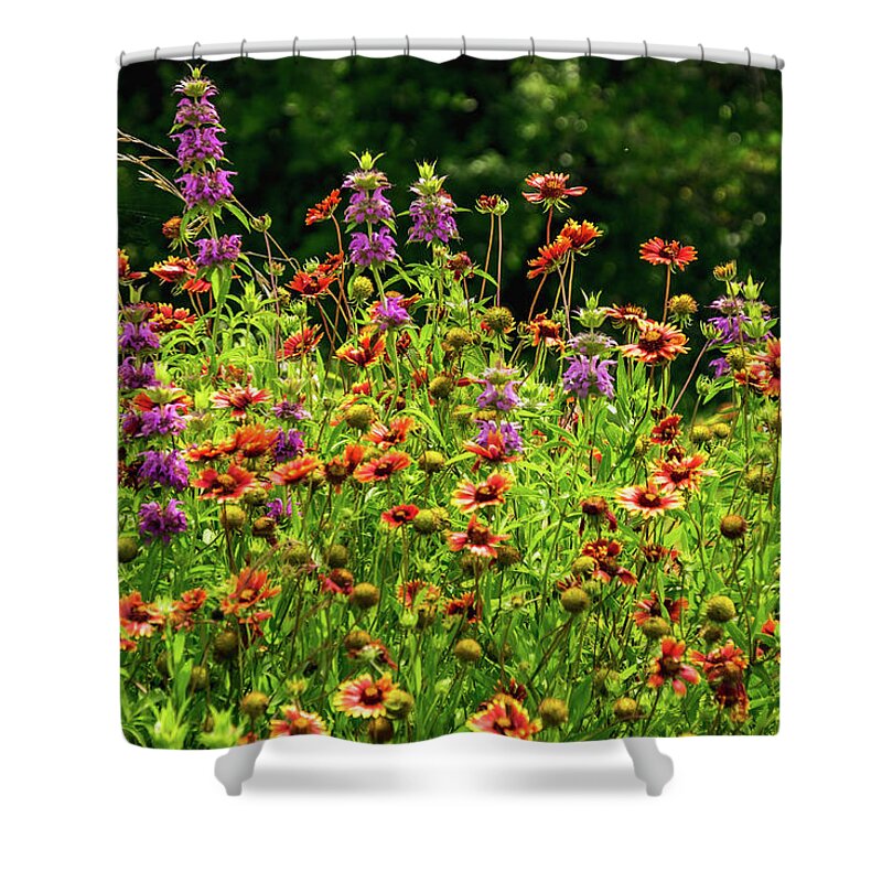 Texas Wildflowers Shower Curtain featuring the photograph Purple Fire by Johnny Boyd