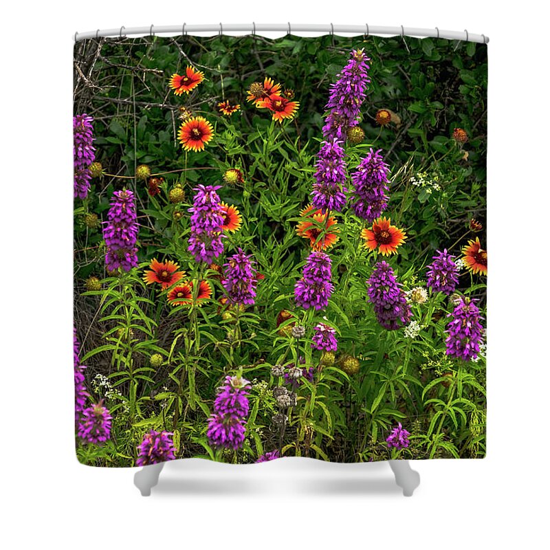 Texas Wildflowers Shower Curtain featuring the photograph Purple Horsemint Morning by Johnny Boyd
