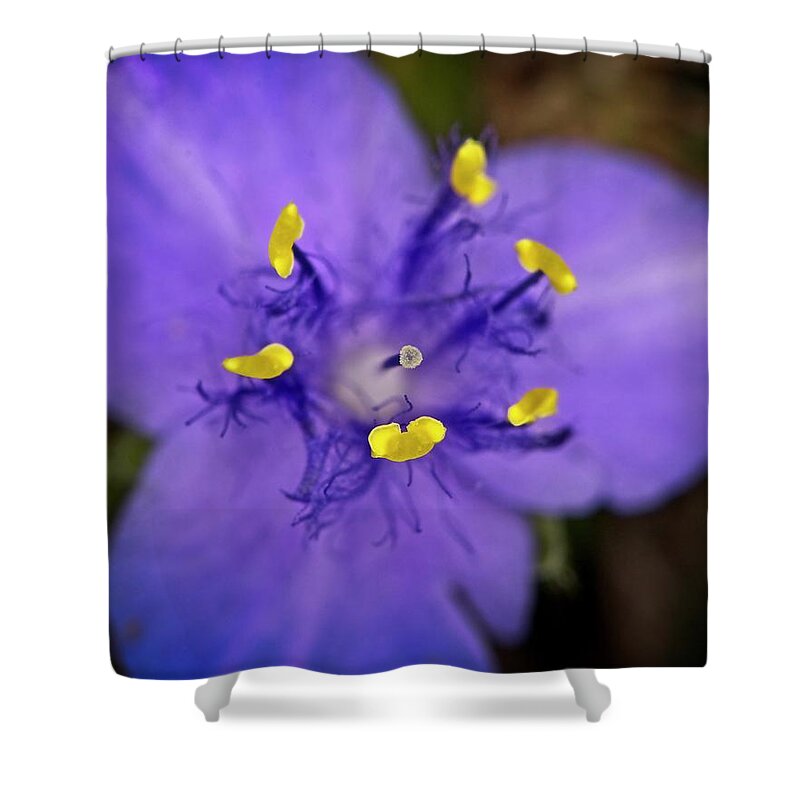 Nature Shower Curtain featuring the photograph Purple Majesty by John Benedict