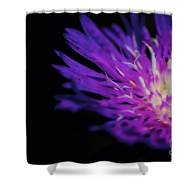 Cathy Dee Janes Shower Curtain featuring the photograph Purple Prose by Cathy Dee Janes