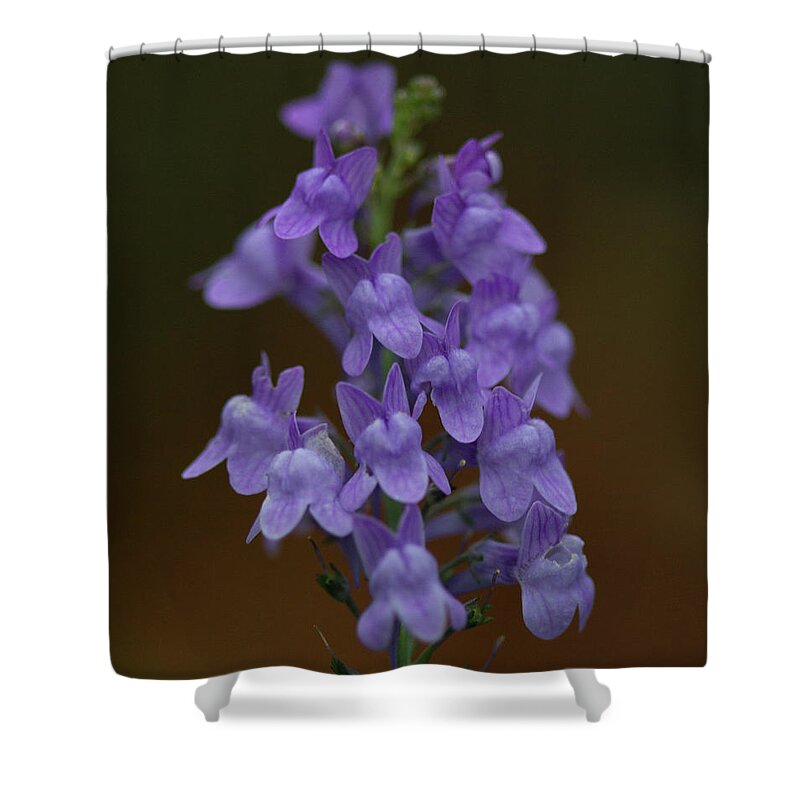 Purple Shower Curtain featuring the photograph Purple Toadflax Flowers by Dr T J Martin