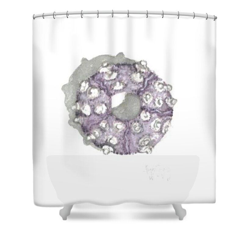 Urchin Shower Curtain featuring the painting Purple Urchin by Maggii Sarfaty