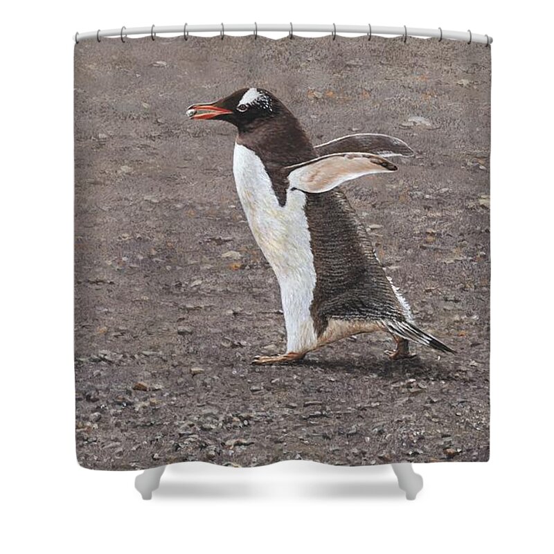 Gentoo Shower Curtain featuring the painting Quick Hurry - Gentoo Penguin by Alan M Hunt by Alan M Hunt