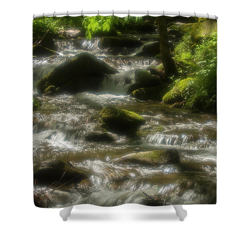 Southern Usa Shower Curtain featuring the photograph Radiant Water, Smokies by Jerry Whaley