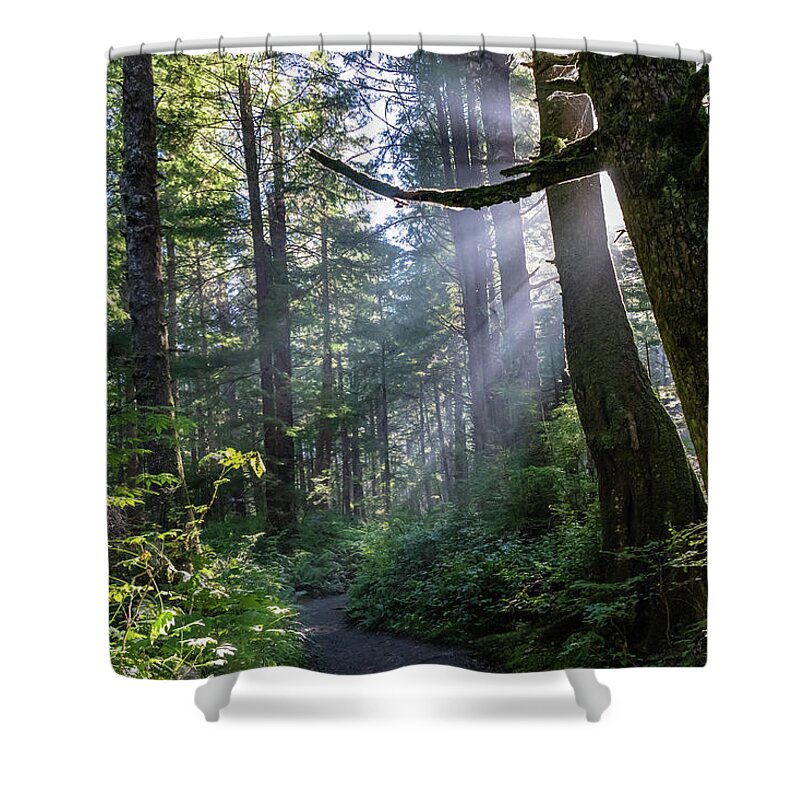 Background Shower Curtain featuring the photograph Rain Forest at La Push by Ed Clark