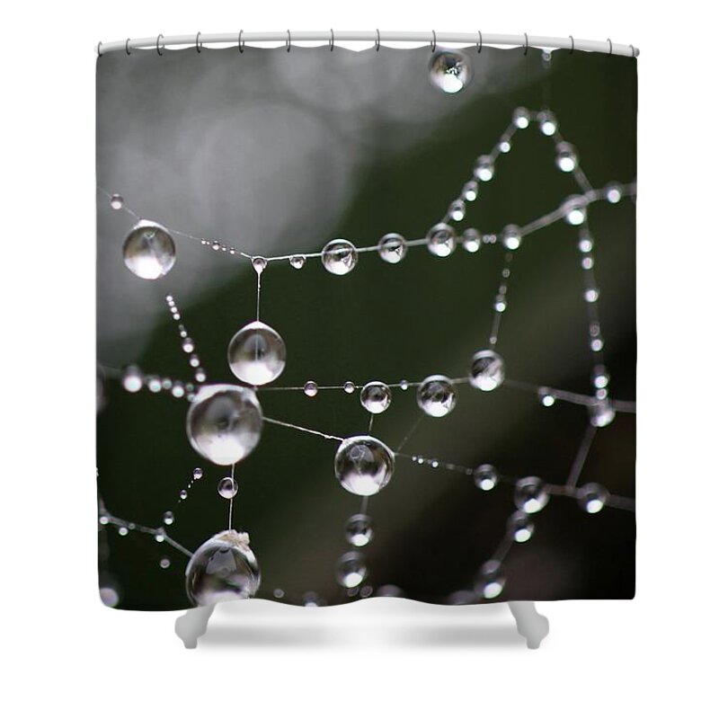 San Francisco Shower Curtain featuring the photograph Raindrops On Spiderweb Network by Mathew Spolin