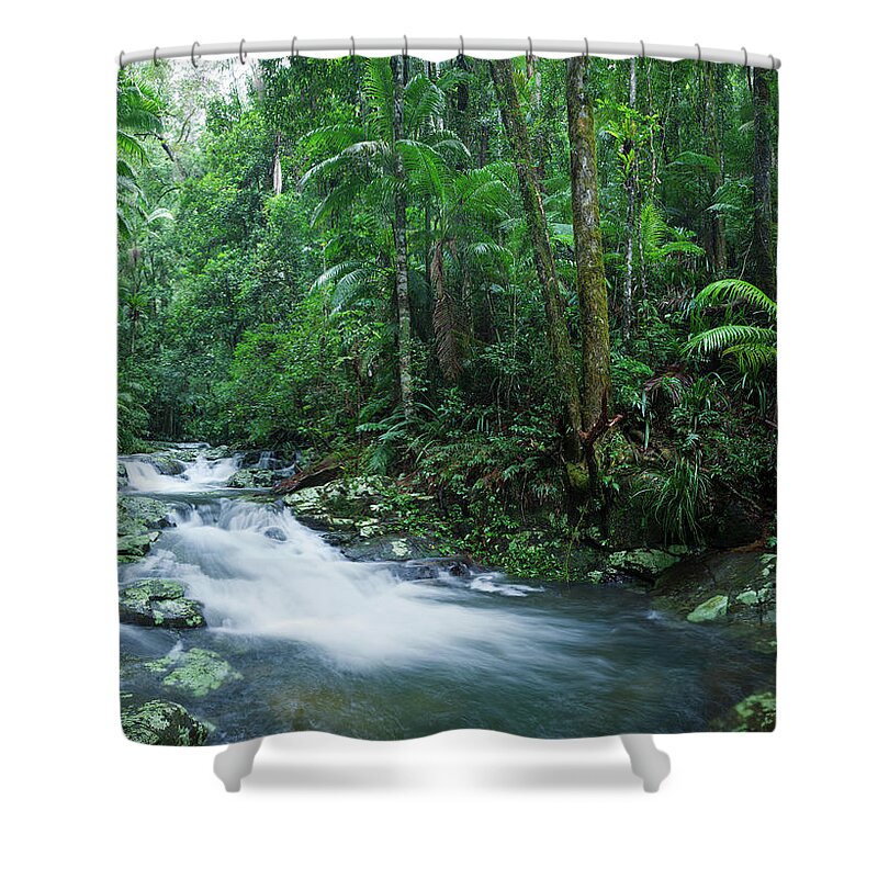 Scenics Shower Curtain featuring the photograph Rainforest Panorama Xxxl by Turnervisual