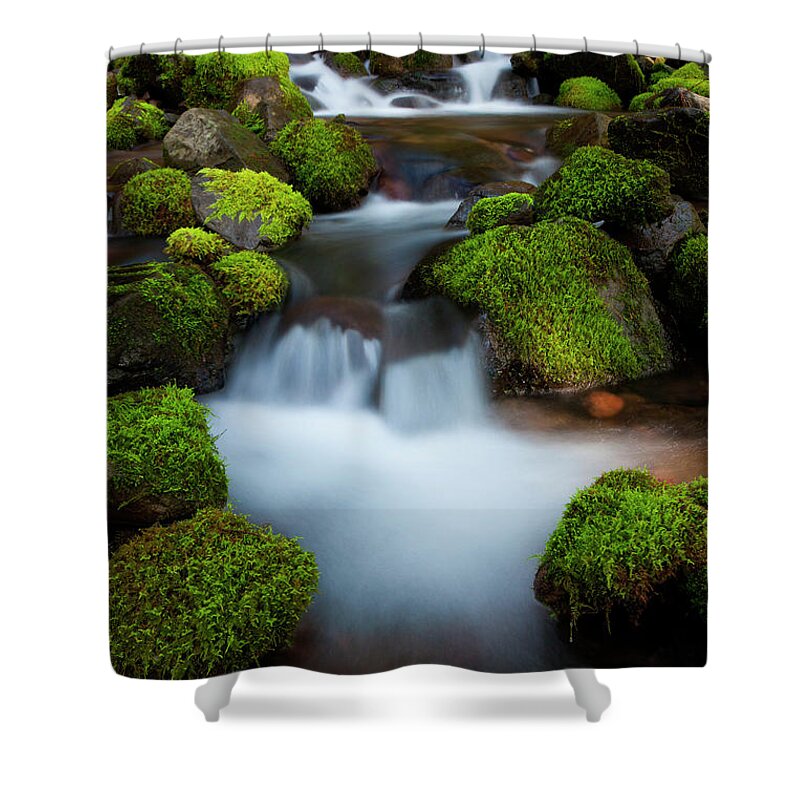 Non-urban Scene Shower Curtain featuring the photograph Rainforest Stream, Olympic National by Mint Images/ Art Wolfe