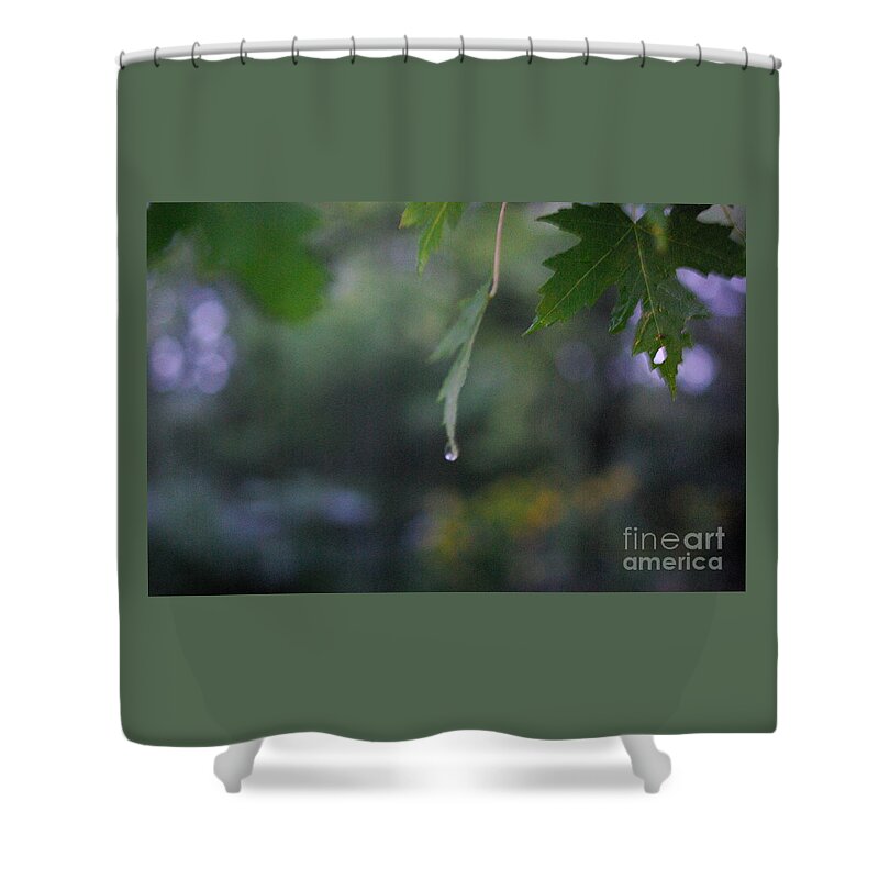 Nature Shower Curtain featuring the photograph Raining by Frank J Casella