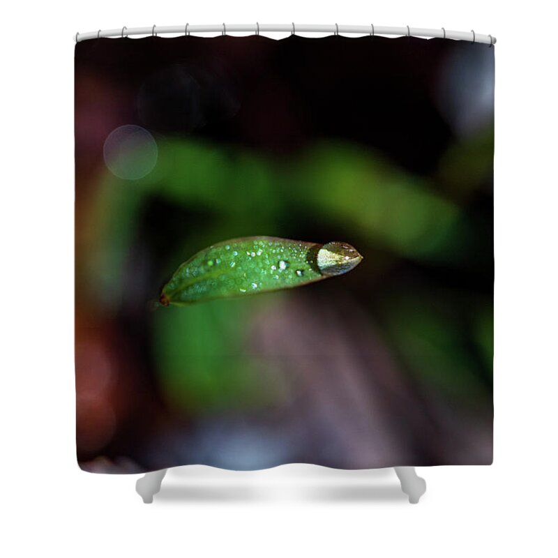 Rain Shower Curtain featuring the photograph Macro Photography - Water Drops #3 by Amelia Pearn