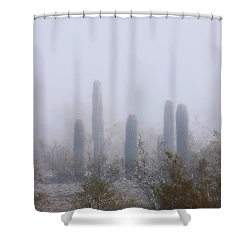 Affordable Shower Curtain featuring the photograph Rare Desert Fog by Judy Kennedy