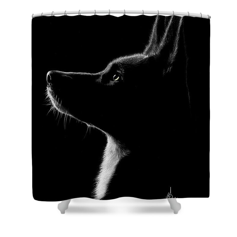 Pencil Shower Curtain featuring the drawing Rat Terrier drawing by Murphy Art Elliott