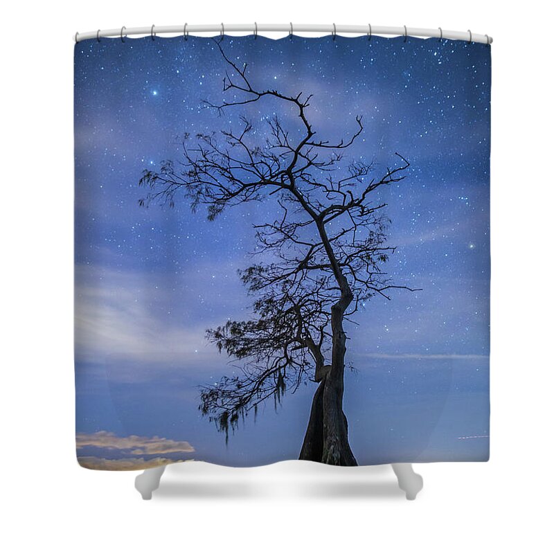 Florida Shower Curtain featuring the photograph Reaching for the Stars by Stefan Mazzola