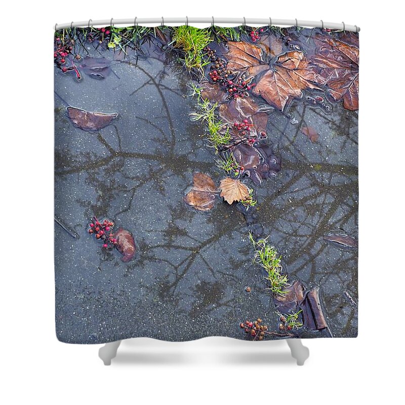 Weather Shower Curtain featuring the photograph Real Sidewalk Art by Richard Thomas