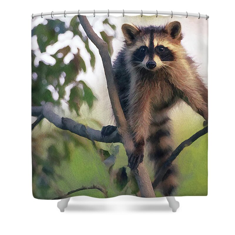 Raccoon Shower Curtain featuring the photograph Recon Raccoon by Art Cole