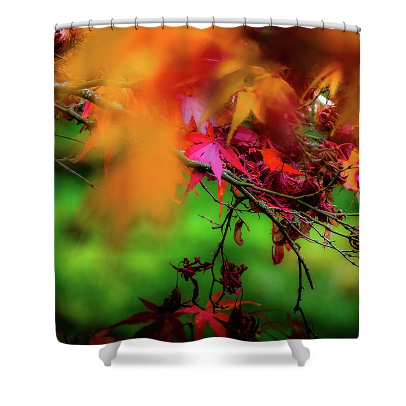 Tree Shower Curtain featuring the photograph Red and Golden - 2 by Christopher Maxum