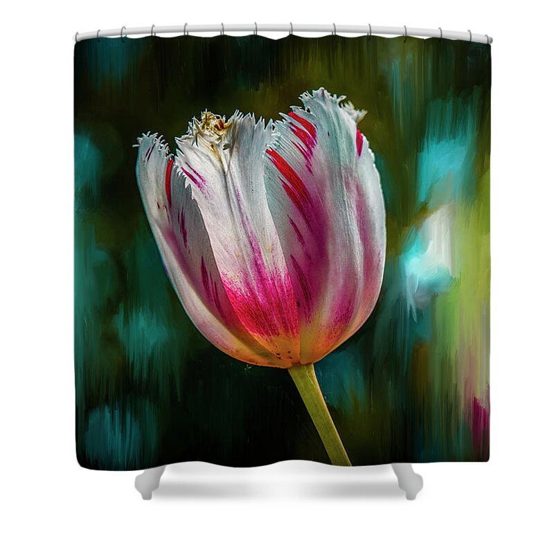 Red And White Tulip Shower Curtain featuring the mixed media Red and White tulip #i8 by Leif Sohlman