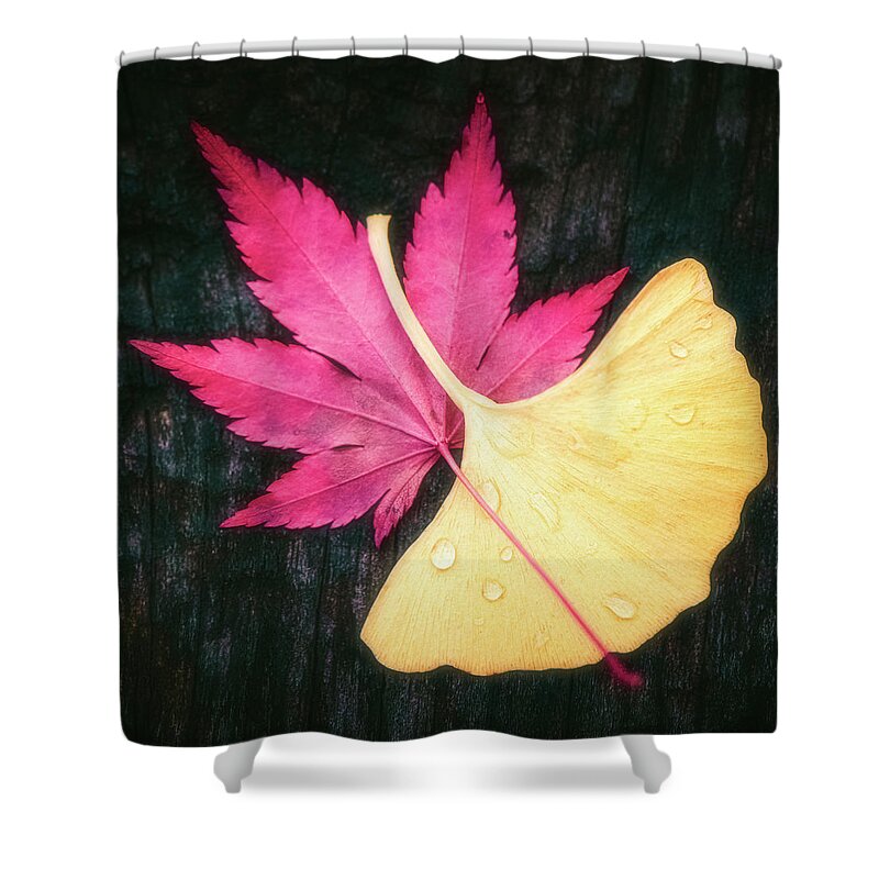 Autumn Shower Curtain featuring the photograph Red and Yellow by Philippe Sainte-Laudy