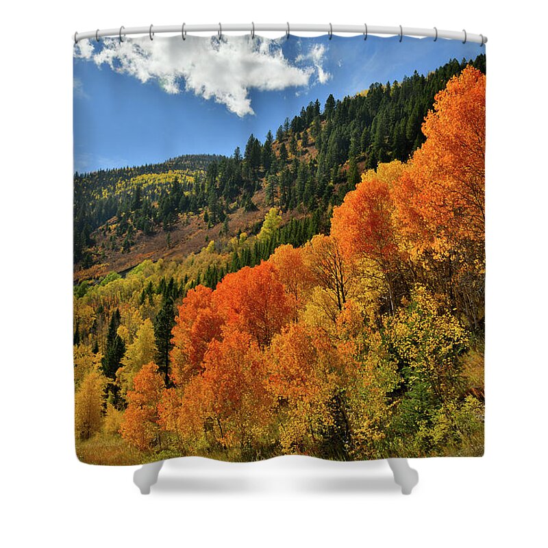 Colorado Shower Curtain featuring the photograph Red Aspens Along Highway 133 by Ray Mathis