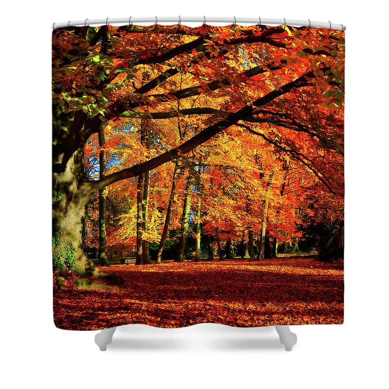 Autumn Shower Curtain featuring the photograph Red Autumn by Philippe Sainte-Laudy