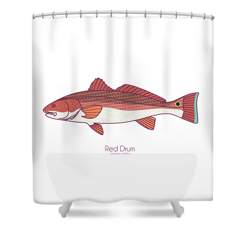 Red Drum Shower Curtain featuring the digital art Red Drum Redfish by Kevin Putman