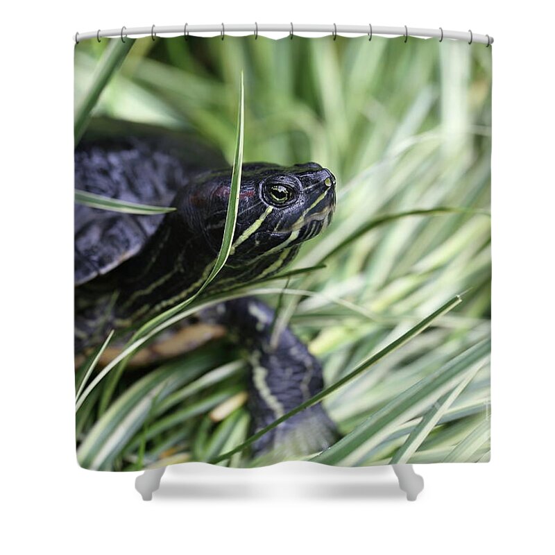 Red-eared Slider Shower Curtain featuring the photograph Red-Eared Slider by Eva Lechner