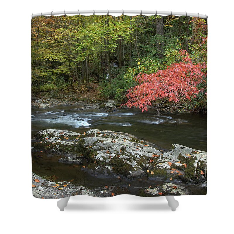 Trees Shower Curtain featuring the photograph Red Leaves Of Autumn by Mike Eingle