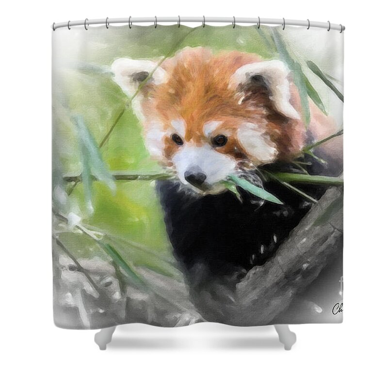 Red Panda Shower Curtain featuring the painting Red Panda by Chris Armytage