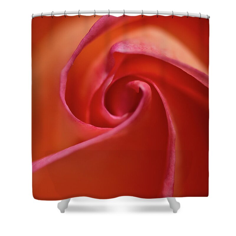 Petal Shower Curtain featuring the photograph Red Rose by S0ulsurfing - Jason Swain