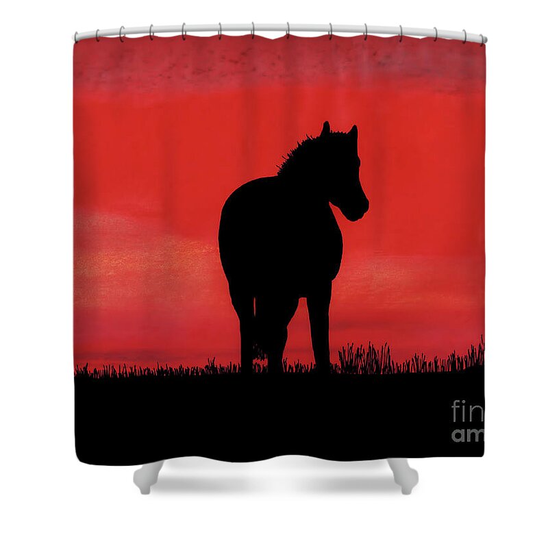 Horse Shower Curtain featuring the drawing Red Sunset Horse by D Hackett