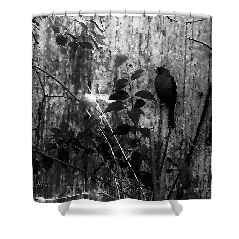 Red Birds Shower Curtain featuring the photograph Redbird Enjoying the Clarity of a Blue and Green Black and White Moment by Aberjhani