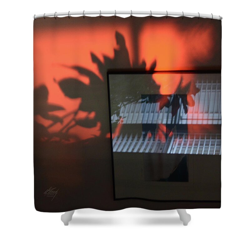 Reflections Shower Curtain featuring the photograph Reflections by Michael Frank