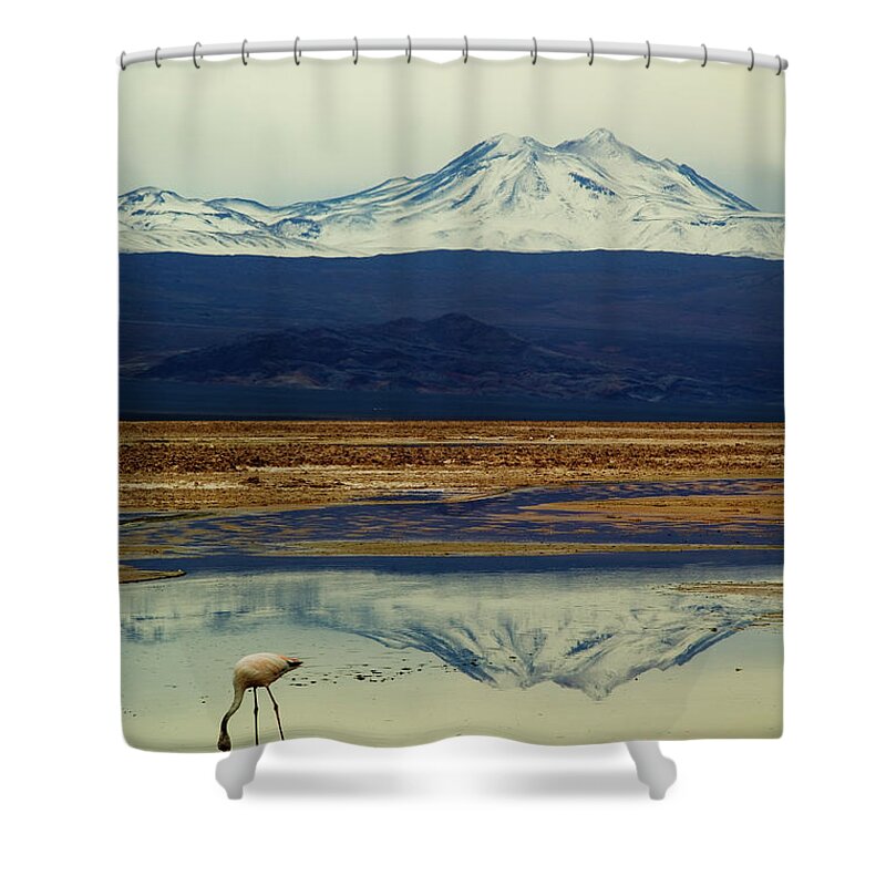 Snow Shower Curtain featuring the photograph Reflections, Salar De Atacama, Chile by By Philippe Reichert