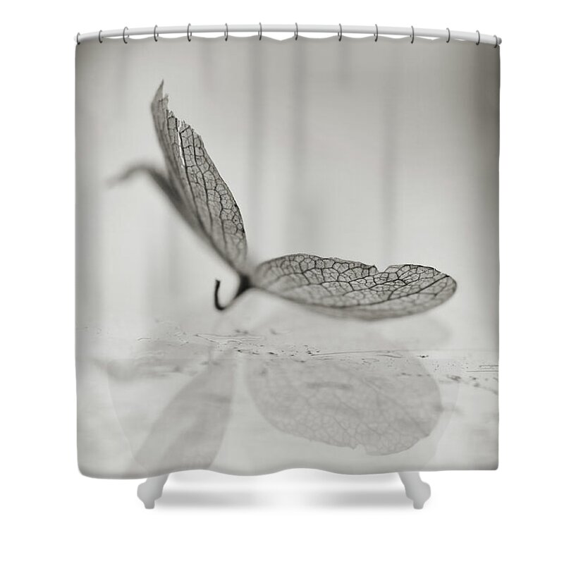 Minimal Shower Curtain featuring the photograph Reflective by Michelle Wermuth