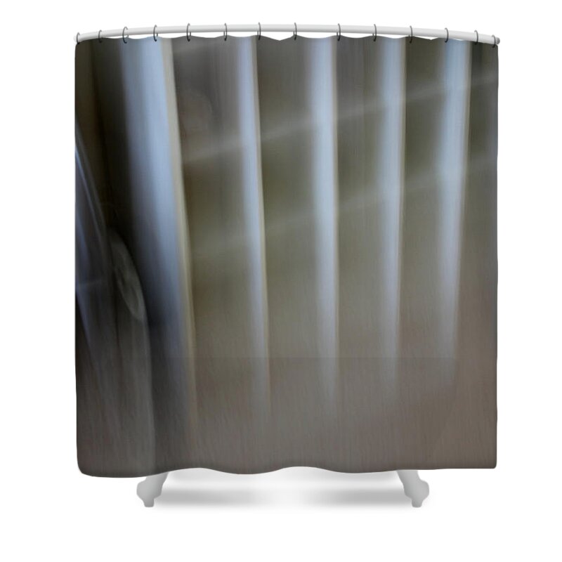 Structure Shower Curtain featuring the photograph Regimentation by Joe Kozlowski