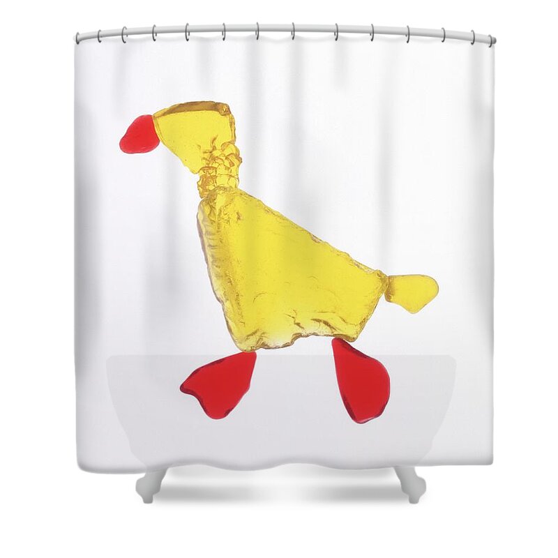 White Background Shower Curtain featuring the photograph Representation Of A Duck On White by Imagewerks