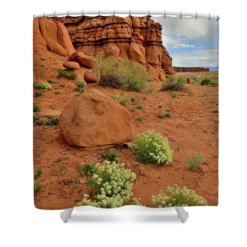 Ruby Mountain Shower Curtain featuring the photograph Rest Area near Hanksville Utah by Ray Mathis