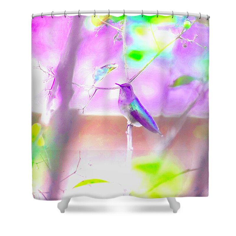 Photograph Shower Curtain featuring the photograph Resting Fairy Bird by Debra Grace Addison