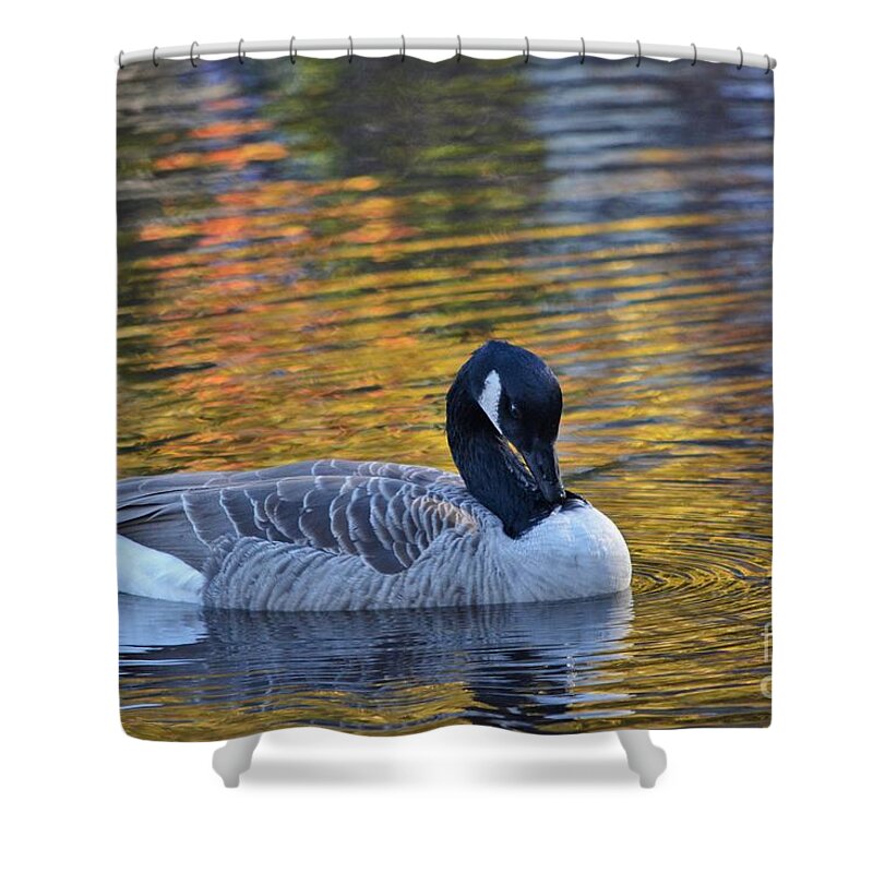 Goose Shower Curtain featuring the photograph Resting In Solitude by Dani McEvoy