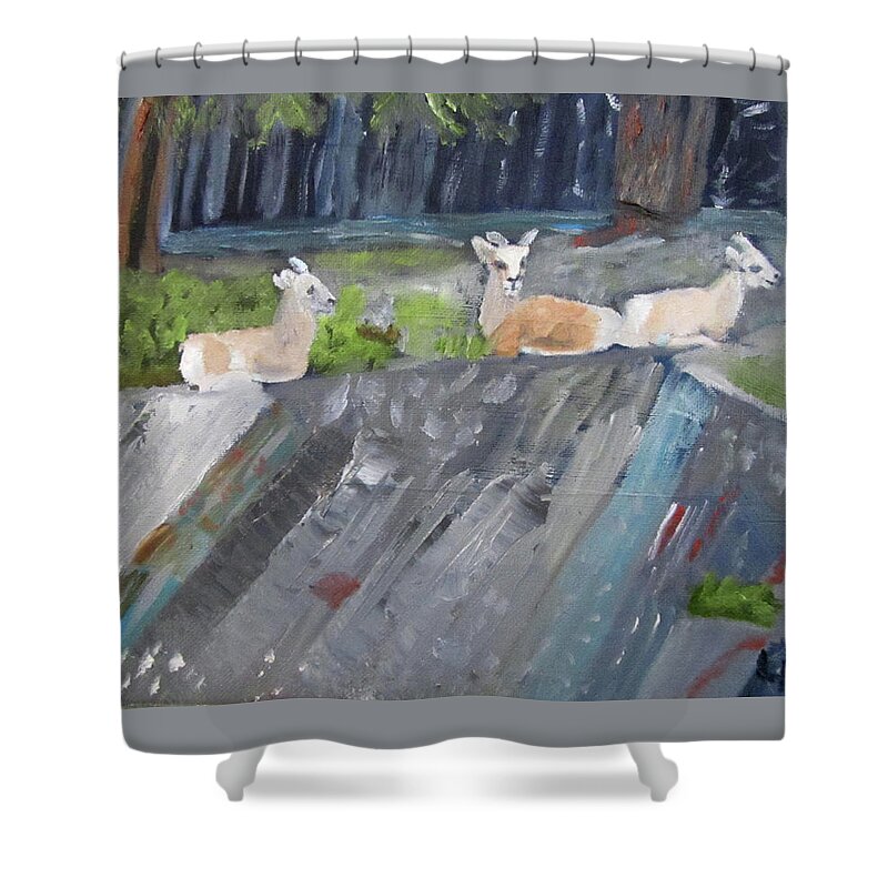 Mountain Sheep Shower Curtain featuring the painting Resting by Linda Feinberg