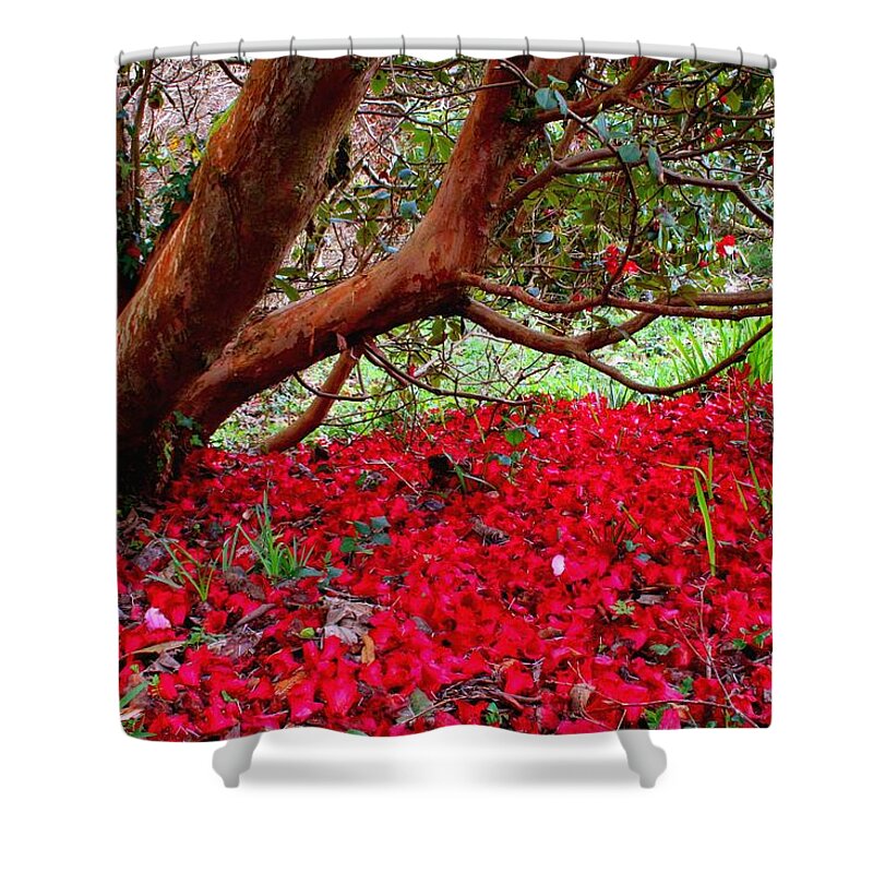Non-urban Scene Shower Curtain featuring the photograph Rhododendron Petals by Andrew Turner