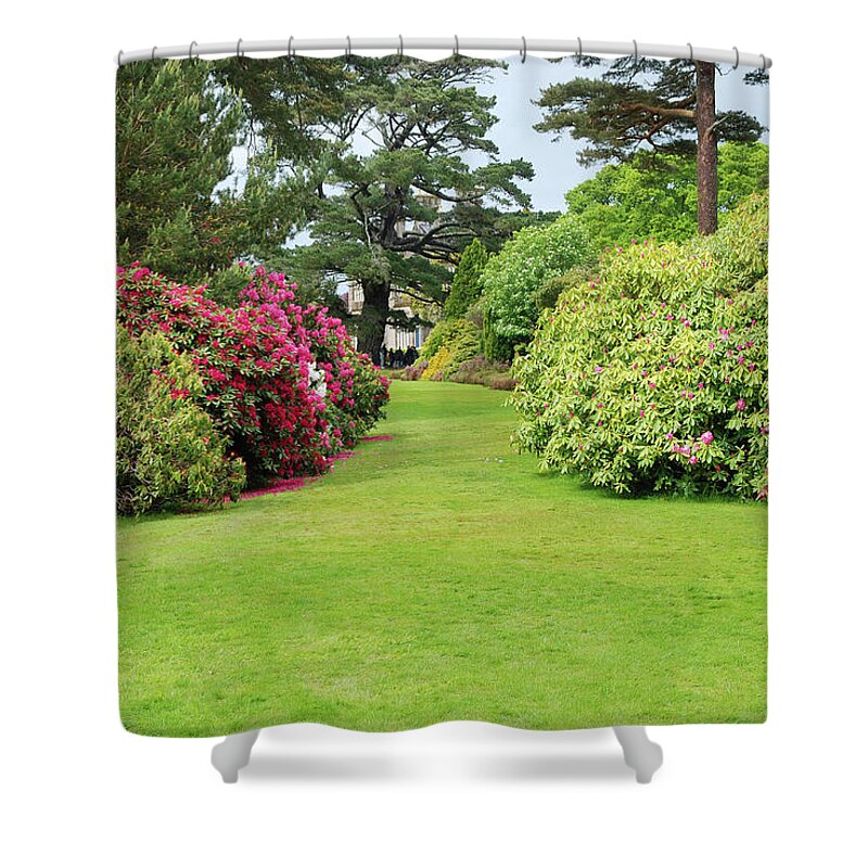 Killarney Shower Curtain featuring the photograph Rhododrendron Bushes by Pixelprof