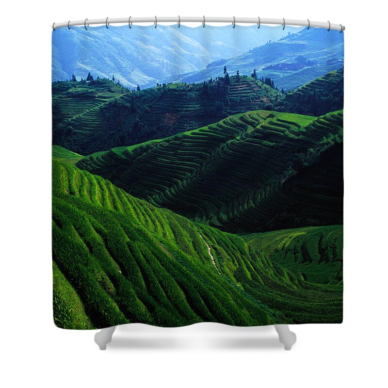 Rice Paddy Shower Curtain featuring the photograph Ricescapes, China, North-east Asia by Richard I'anson