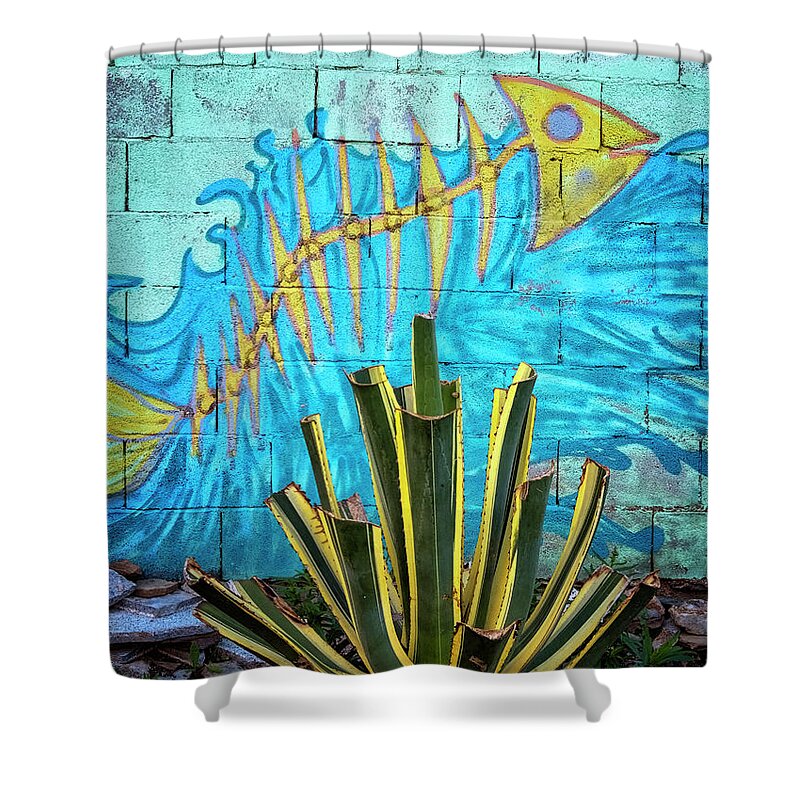 Cudillero Spain Shower Curtain featuring the photograph Rinlo Fish Mural by Tom Singleton