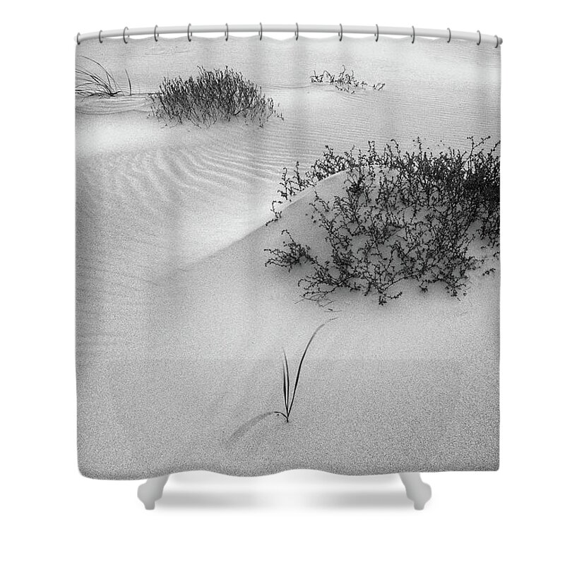 Ripples Shower Curtain featuring the photograph Ripples, Crane Beach Ipswich Ma. by Michael Hubley