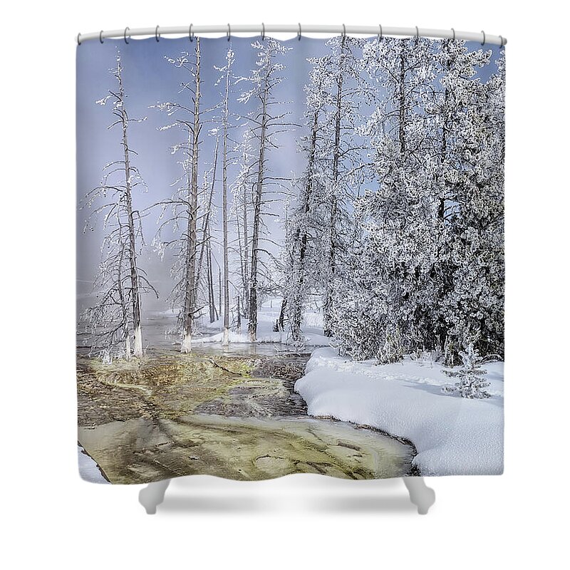 2019 Shower Curtain featuring the photograph River Of Gold - Jo Ann Tomaselli by Jo Ann Tomaselli
