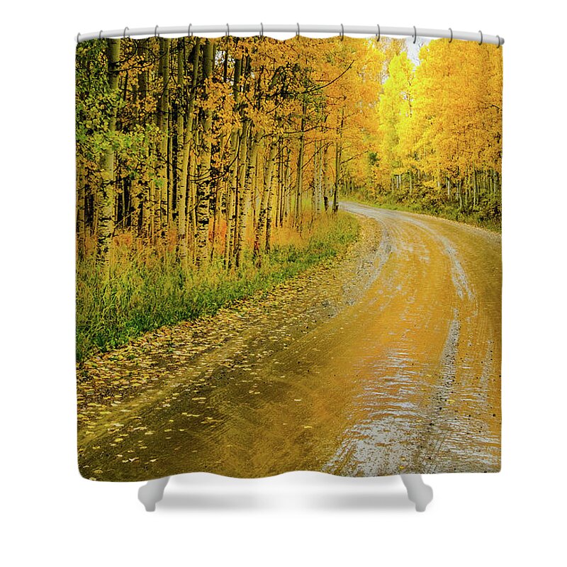 Aspens Shower Curtain featuring the photograph Road To Oz by Johnny Boyd