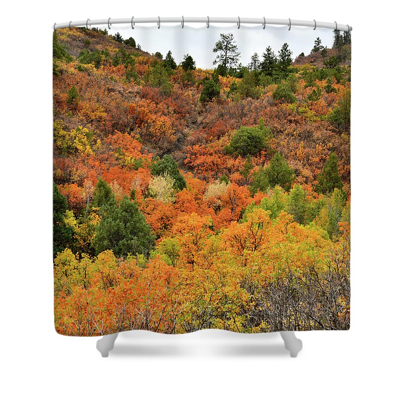Ouray Shower Curtain featuring the photograph Roadside Fall Colors near Ridgway Colorado by Ray Mathis